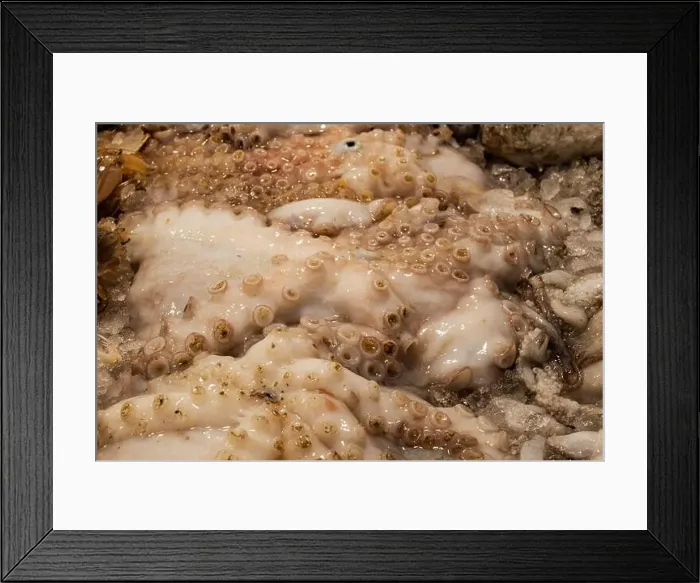 Framed Print : fish market with many different fresh fishes