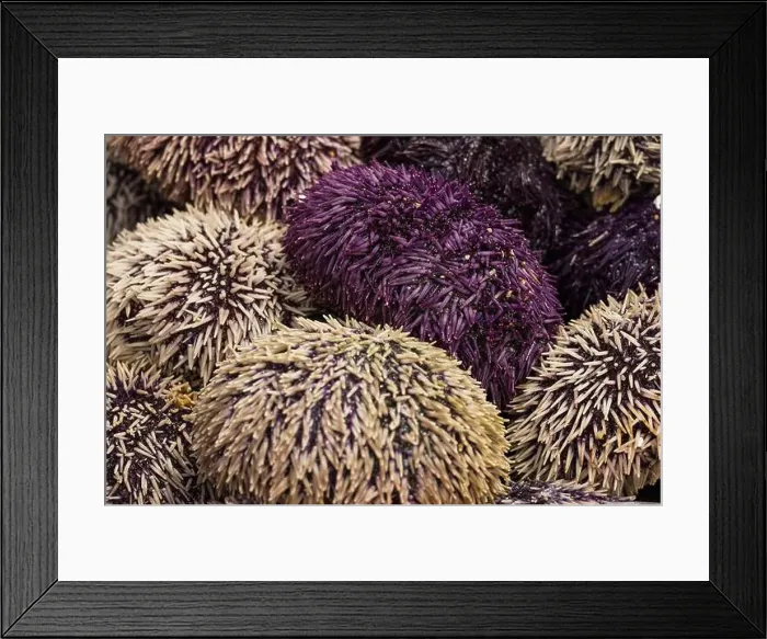 Framed Print : photo of healthy food on market Framed Print : photo of healthy food on market