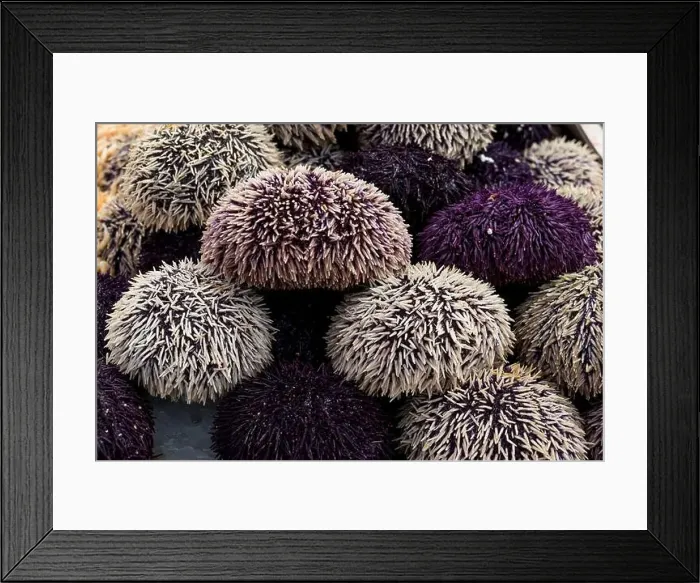 Framed Print : photo of healthy food on market Framed Print : photo of healthy food on market