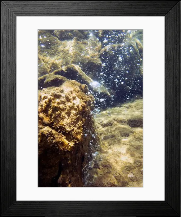 Framed Print : Bubbles escaping from the rocks on Champagne Reef near Roseau, Dominica Framed Print : Bubbles escaping from the rocks on Champagne Reef near Roseau, Dominica