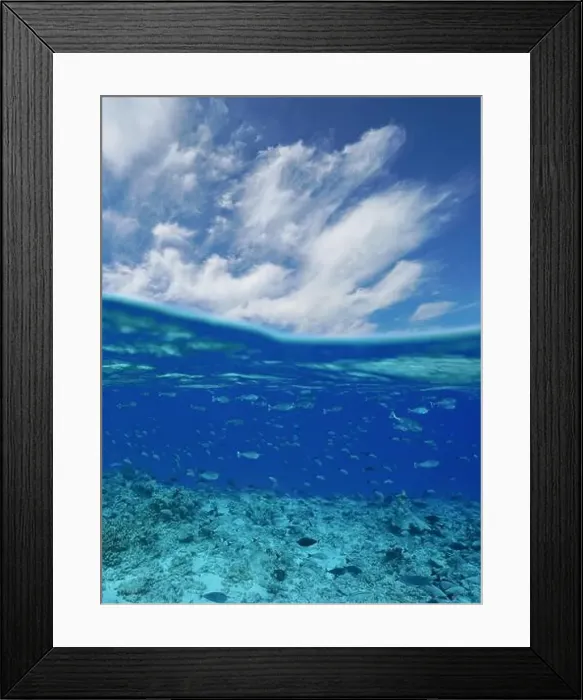Framed Print : School of fish underwater with blue sky and cloud