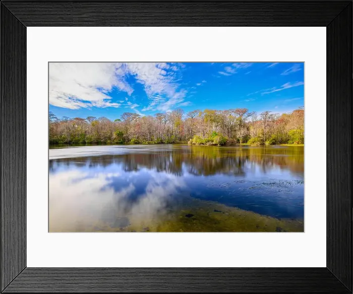Framed Print : A breathtaking view of Wakulla Springs Framed Print : A breathtaking view of Wakulla Springs