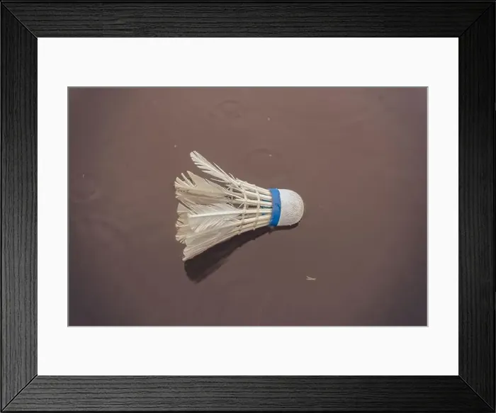 Framed Print : Broken racket ball floats in water Framed Print : Broken racket ball floats in water