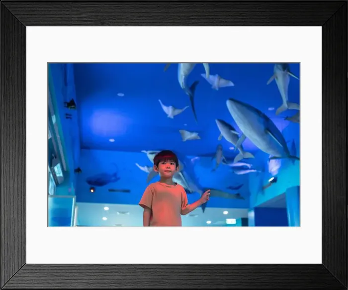 Framed Print : Asian boy standing pointing at aquarium background Framed Print : Asian boy standing pointing at aquarium background