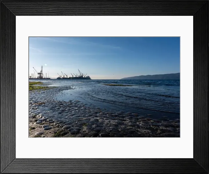 Framed Print : beach, jellyfish and lighthouse in the background Framed Print : beach, jellyfish and lighthouse in the background
