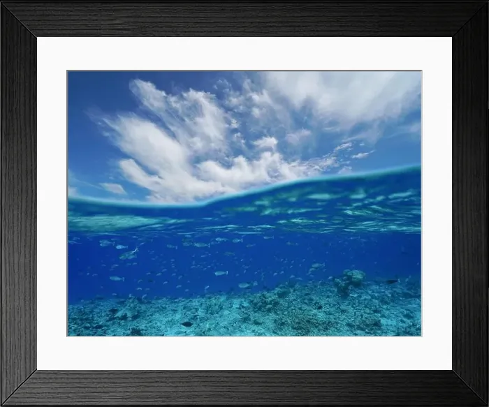 Framed Print : Ocean seascape, blue sky with cloud and reef with school of fish underwater Framed Print : Ocean seascape, blue sky with cloud and reef with school of fish underwater