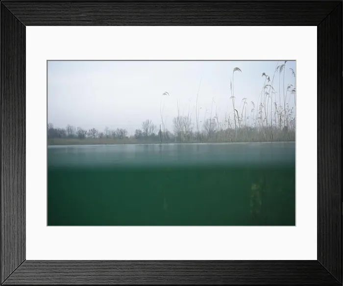 Framed Print : View from a shore shot in a lake nearby