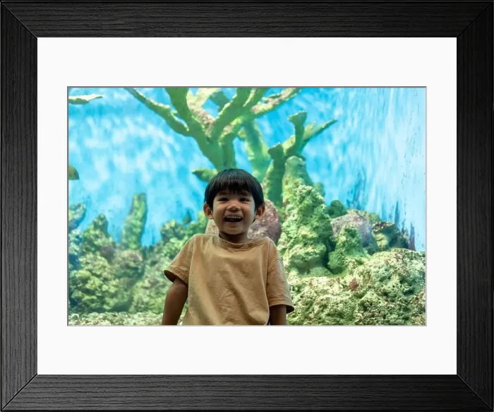 Framed Print : Asian boy standing pointing at aquarium background Framed Print : Asian boy standing pointing at aquarium background