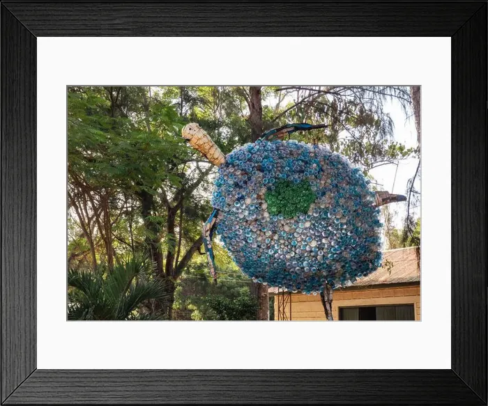 Framed Print : A turtle made from plastic bottles in Malindi Marine National Park in Kenya Framed Print : A turtle made from plastic bottles in Malindi Marine National Park in Kenya