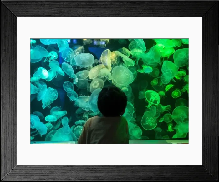 Framed Print : Asian boy looking at blue-green jellyfish in a marine aquarium Framed Print : Asian boy looking at blue-green jellyfish in a marine aquarium