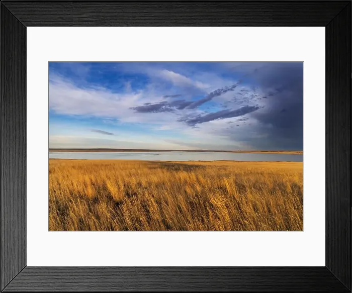 Framed Print : Prairie grasslands and Lake Bowdoin at Bowdoin National Wildlife Refuge near Malta, Montana, USA. (Editorial Use Only) Framed Print : Prairie grasslands and Lake Bowdoin at Bowdoin National Wildlife Refuge near Malta, Montana, USA. (Editorial Use Only)