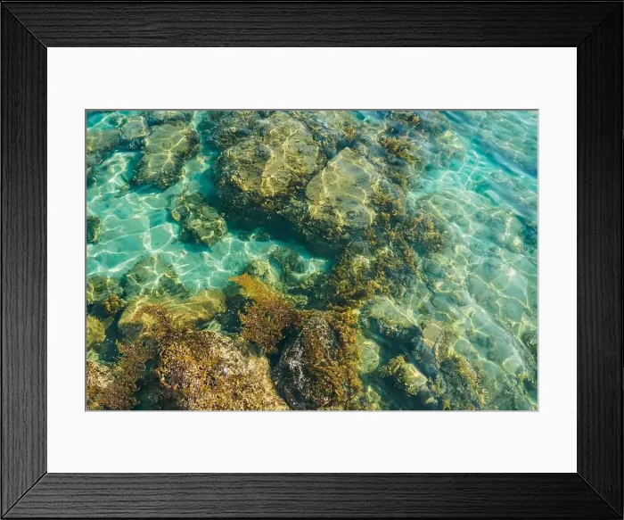 Framed Print : Top view of coral and algae over the sand in the see. Clear and transparent beach. Clear sea water surface with algae Framed Print : Top view of coral and algae over the sand in the see. Clear and transparent beach. Clear sea water surface with algae