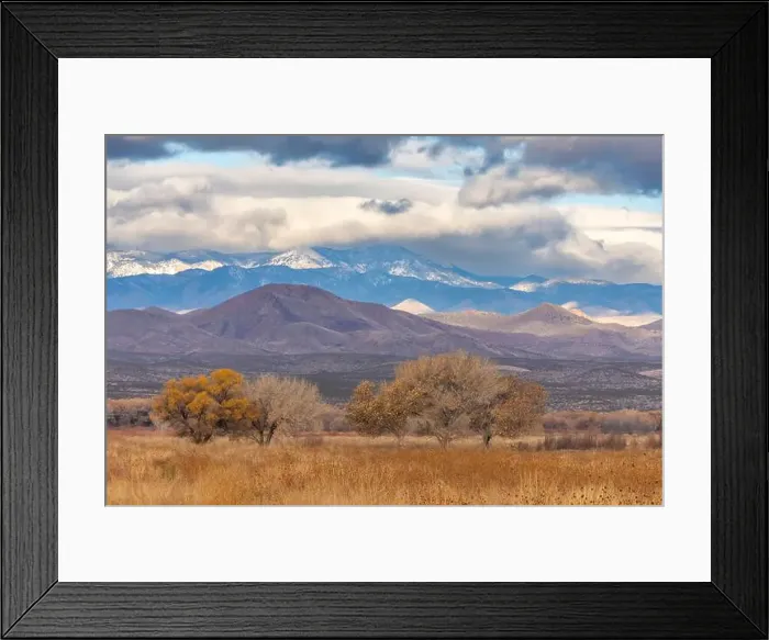 Framed Print : USA, New Mexico, Bosque Del Apache National Wildlife Refuge Framed Print : USA, New Mexico, Bosque Del Apache National Wildlife Refuge