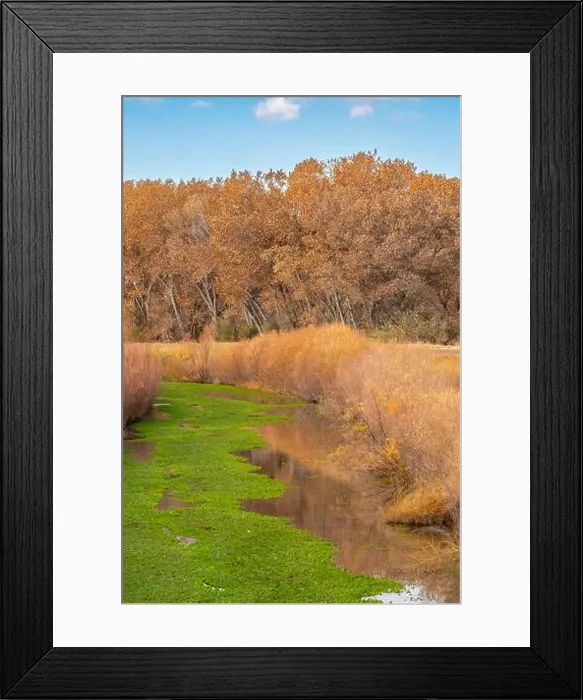 Framed Print : USA, New Mexico, Bosque Del Apache National Wildlife Refuge Framed Print : USA, New Mexico, Bosque Del Apache National Wildlife Refuge