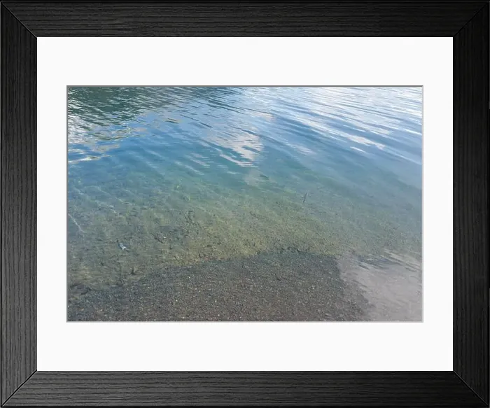 Framed Print : Sites around the Lake Quinault area in Olympic National Park Framed Print : Sites around the Lake Quinault area in Olympic National Park