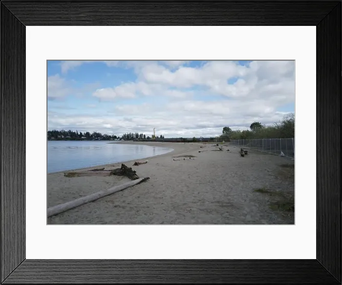 Framed Print : Sites around the Lake Quinault area in Olympic National Park Framed Print : Sites around the Lake Quinault area in Olympic National Park
