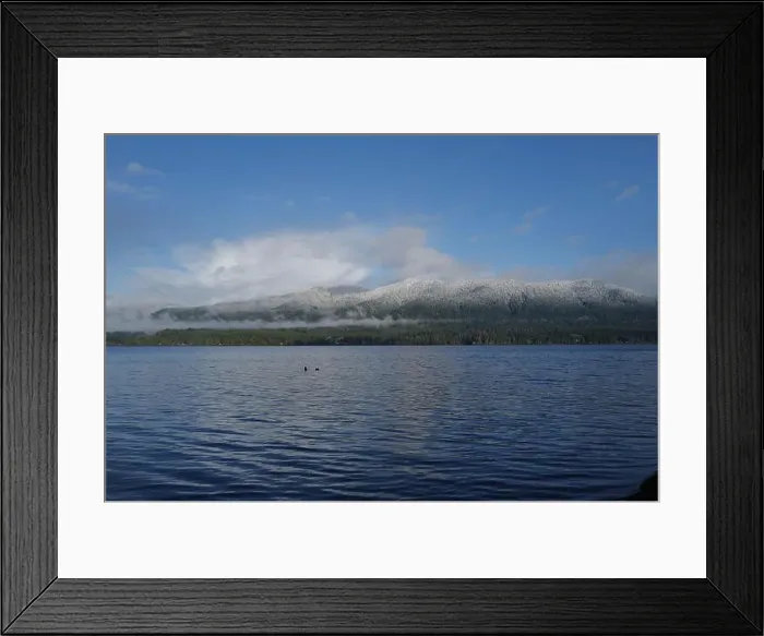 Framed Print : Sites around the Lake Quinault area in Olympic National Park Framed Print : Sites around the Lake Quinault area in Olympic National Park