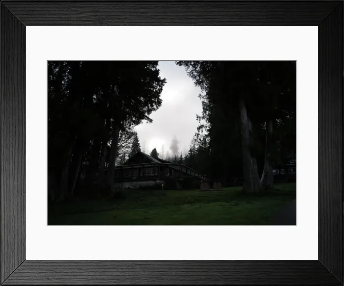 Framed Print : Sites around the Lake Quinault area in Olympic National Park Framed Print : Sites around the Lake Quinault area in Olympic National Park