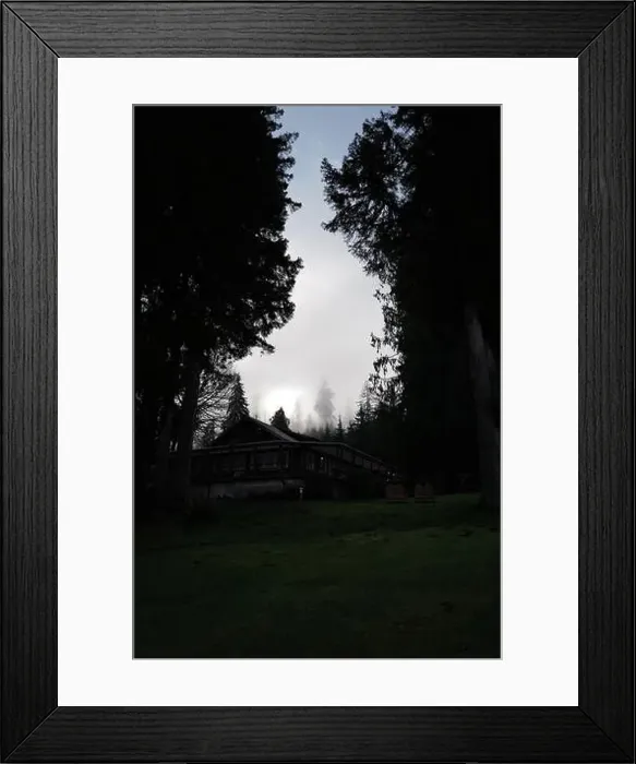 Framed Print : Sites around the Lake Quinault area in Olympic National Park Framed Print : Sites around the Lake Quinault area in Olympic National Park
