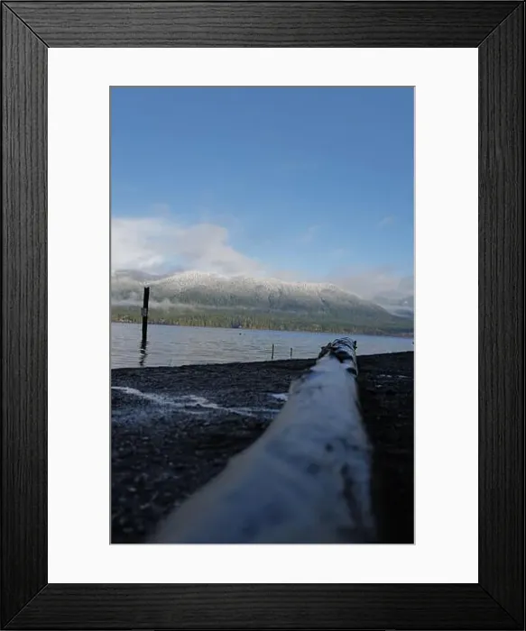 Framed Print : Sites around the Lake Quinault area in Olympic National Park Framed Print : Sites around the Lake Quinault area in Olympic National Park