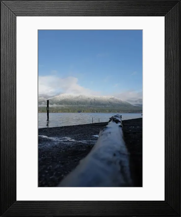 Framed Print : Sites around the Lake Quinault area in Olympic National Park Framed Print : Sites around the Lake Quinault area in Olympic National Park
