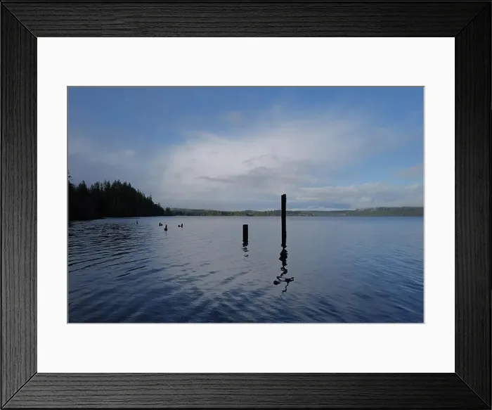 Framed Print : Sites around the Lake Quinault area in Olympic National Park Framed Print : Sites around the Lake Quinault area in Olympic National Park