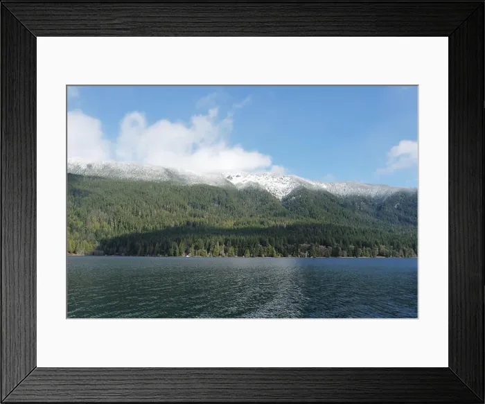 Framed Print : Sites around the Lake Quinault area in Olympic National Park Framed Print : Sites around the Lake Quinault area in Olympic National Park