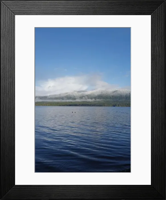Framed Print : Sites around the Lake Quinault area in Olympic National Park Framed Print : Sites around the Lake Quinault area in Olympic National Park