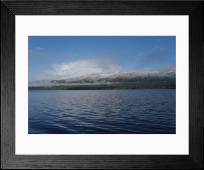 Framed Print : Sites around the Lake Quinault area in Olympic National Park Framed Print : Sites around the Lake Quinault area in Olympic National Park