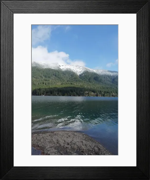 Framed Print : Sites around the Lake Quinault area in Olympic National Park Framed Print : Sites around the Lake Quinault area in Olympic National Park