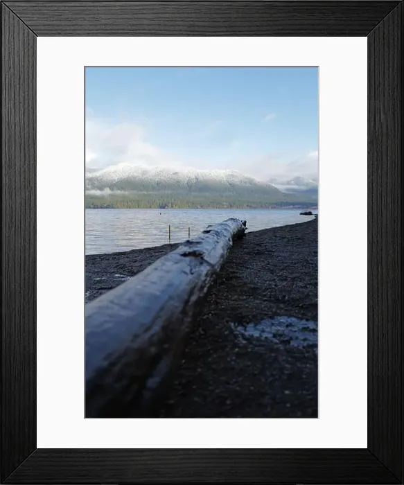 Framed Print : Sites around the Lake Quinault area in Olympic National Park Framed Print : Sites around the Lake Quinault area in Olympic National Park