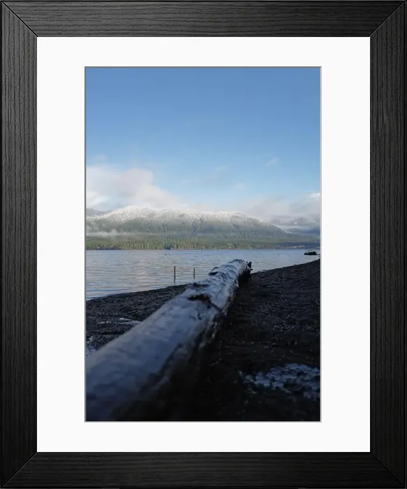 Framed Print : Sites around the Lake Quinault area in Olympic National Park Framed Print : Sites around the Lake Quinault area in Olympic National Park