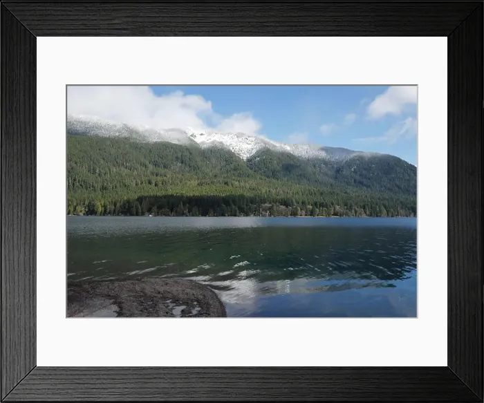 Framed Print : Sites around the Lake Quinault area in Olympic National Park Framed Print : Sites around the Lake Quinault area in Olympic National Park