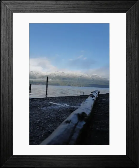 Framed Print : Sites around the Lake Quinault area in Olympic National Park Framed Print : Sites around the Lake Quinault area in Olympic National Park