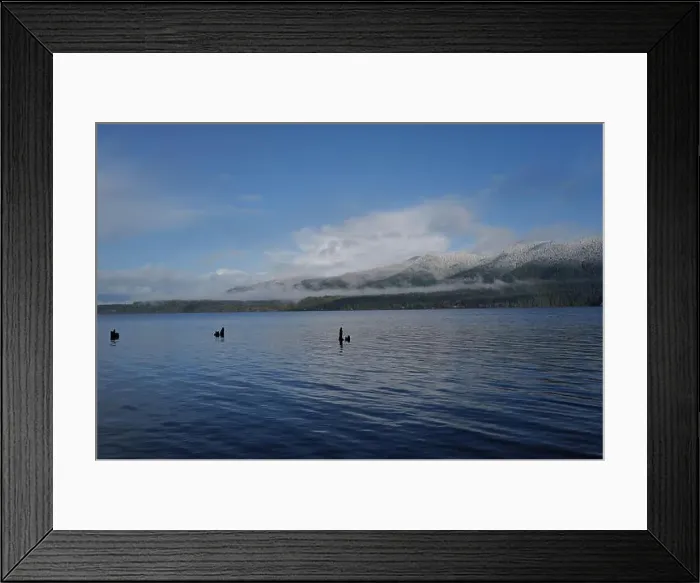Framed Print : Sites around the Lake Quinault area in Olympic National Park Framed Print : Sites around the Lake Quinault area in Olympic National Park