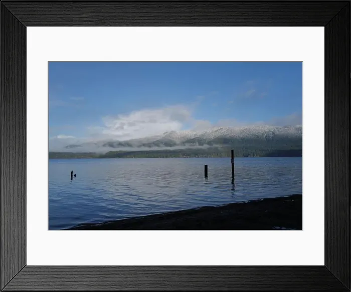Framed Print : Sites around the Lake Quinault area in Olympic National Park Framed Print : Sites around the Lake Quinault area in Olympic National Park