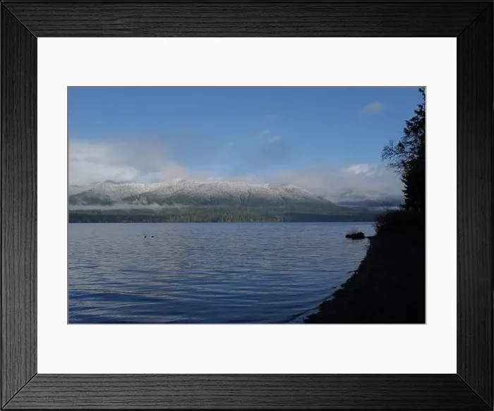 Framed Print : Sites around the Lake Quinault area in Olympic National Park Framed Print : Sites around the Lake Quinault area in Olympic National Park