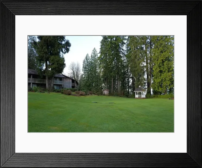 Framed Print : Sites around the Lake Quinault area in Olympic National Park Framed Print : Sites around the Lake Quinault area in Olympic National Park