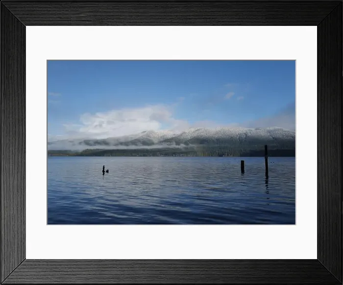 Framed Print : Sites around the Lake Quinault area in Olympic National Park Framed Print : Sites around the Lake Quinault area in Olympic National Park