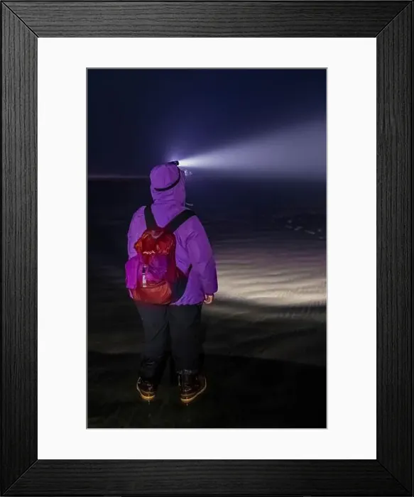 Framed Print : Harvesting Pacific Razor Clams on Pacific Ocean beach at night at Ocean City, Washington State, USA Framed Print : Harvesting Pacific Razor Clams on Pacific Ocean beach at night at Ocean City, Washington State, USA