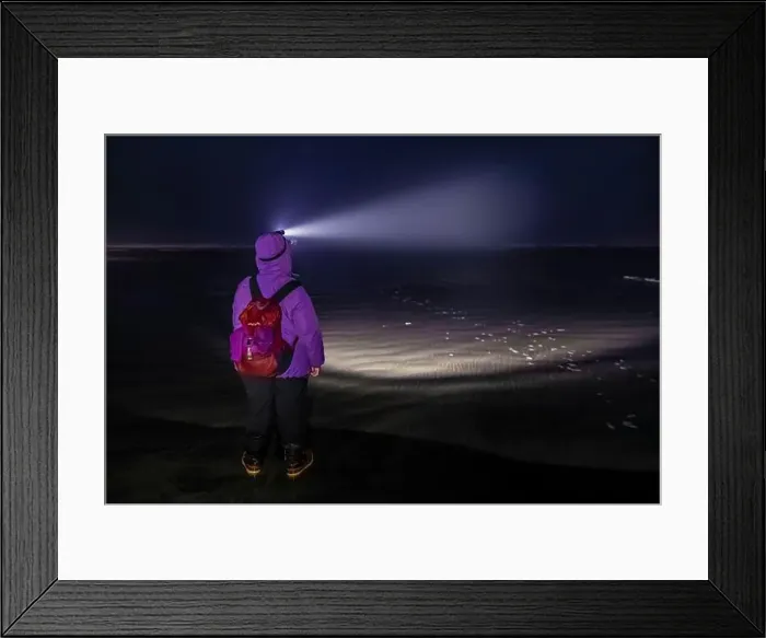 Framed Print : Harvesting Pacific Razor Clams on Pacific Ocean beach at night at Ocean City, Washington State, USA Framed Print : Harvesting Pacific Razor Clams on Pacific Ocean beach at night at Ocean City, Washington State, USA