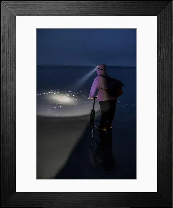 Framed Print : Harvesting Pacific Razor Clams on Pacific Ocean beach at night at Ocean City, Washington State, USA Framed Print : Harvesting Pacific Razor Clams on Pacific Ocean beach at night at Ocean City, Washington State, USA