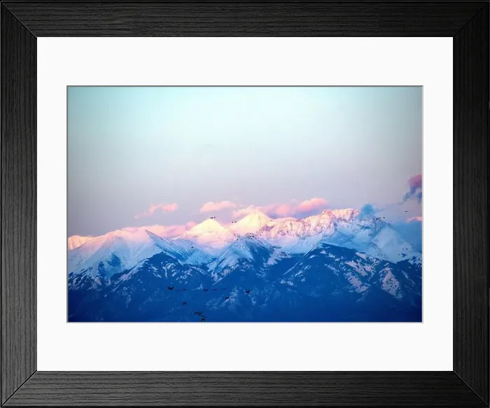 Framed Print : Over 20, 000 cranes spend part of their spring Framed Print : Over 20, 000 cranes spend part of their spring