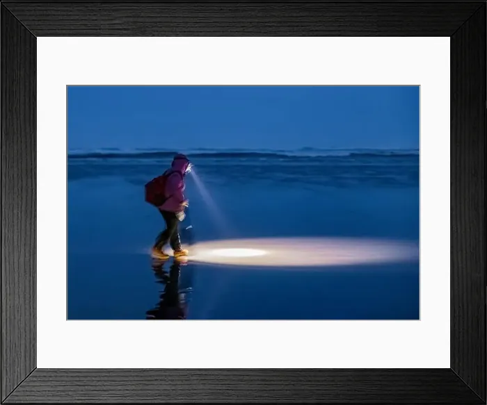 Framed Print : Harvesting Pacific Razor Clams on Pacific Ocean beach at night at Ocean City, Washington State, USA Framed Print : Harvesting Pacific Razor Clams on Pacific Ocean beach at night at Ocean City, Washington State, USA