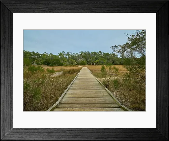 Framed Print : Boardwalk at Skidaway Island State Park, GA Framed Print : Boardwalk at Skidaway Island State Park, GA