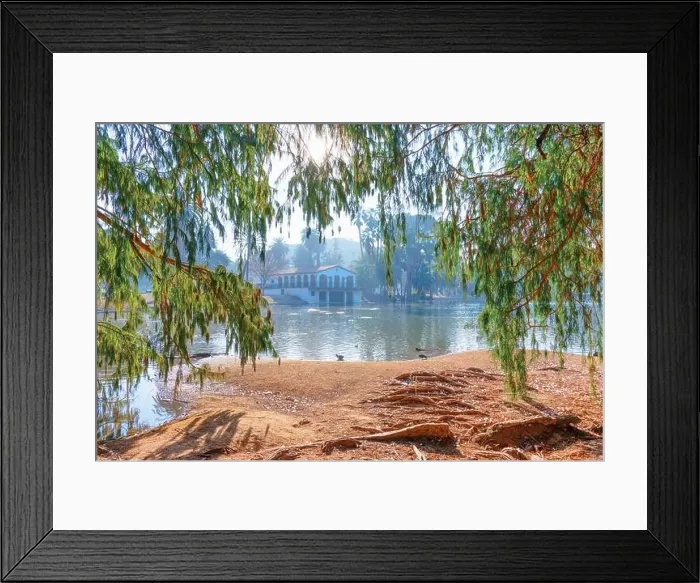 Framed Print : View of a serene pond surrounded by trees, featuring ducks along the shore and a scenic building in the background Framed Print : View of a serene pond surrounded by trees, featuring ducks along the shore and a scenic building in the background