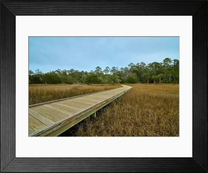 Framed Print : Boardwalk at Skidaway Island State Park, GA Framed Print : Boardwalk at Skidaway Island State Park, GA