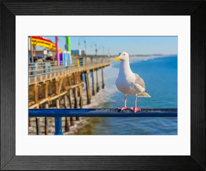 Framed Print : Santa Monica, California - January 16