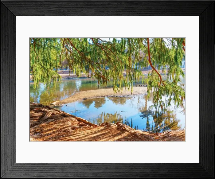 Framed Print : View of a tranquil pond from under leafy branches, with ducks resting on the shore and reflections on the water Framed Print : View of a tranquil pond from under leafy branches, with ducks resting on the shore and reflections on the water