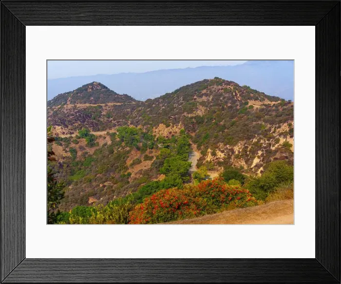 Framed Print : Vibrant view of Griffith Park's rolling hills with colorful flora and winding trails under a clear blue sky Framed Print : Vibrant view of Griffith Park's rolling hills with colorful flora and winding trails under a clear blue sky